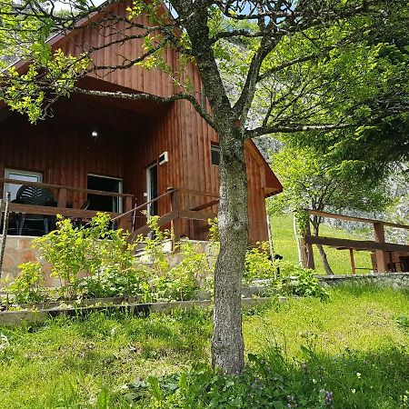 Detached House Milivoje Hotel Poscenje Exterior photo